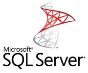 фото ПО  Microsoft SQL Server Standard 2019 English DVD 10 Clt
