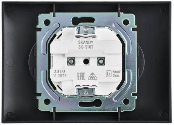 фото Розетка двухместная без заземления в сборе IEK SK-R20-10-K48-F