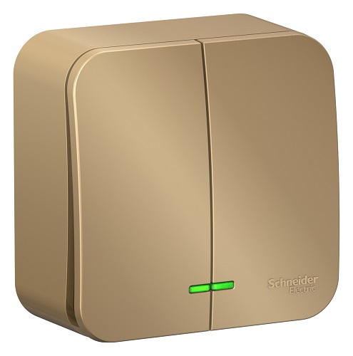 

Выключатель Schneider Electric BLNVA105114 2-клавишный с подсветкой 10А,250B, изолир. пластина Титан наруж, BLNVA105114