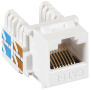 фото Модуль Netlan EC-UKJ-UD2-WT-10