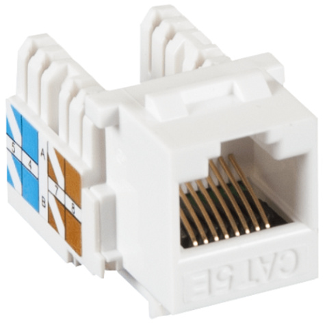 фото Модуль  Netlan EC-UKJ-UD2-WT-10 в Челябинске