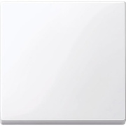 фото Клавиша Schneider Electric MTN432125