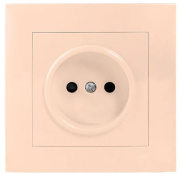 фото Розетка без заземления EKF EWR10-022-20