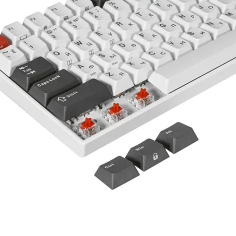 фото Клавиатура  Royal Kludge RK100 в Волгограде