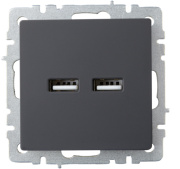 фото Розетка USB IEK BR-U21-D31-K53