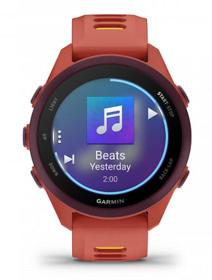 фото Часы  Garmin Forerunner 170