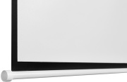 фото Экран Digis Optimal-B DSOB-4301