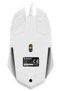 фото Клавиатура и мышь Defender Motion C-977