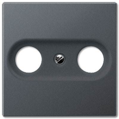 Изображение товара Накладка Jung A561BFPLTVANM