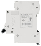 фото Автоматический выключатель Systeme Electric C9F34363