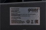 фото Светильник Gauss 629536350