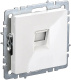 фото Розетка компьютерная  IEK BR-K10-1-K01-PRO
