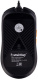 фото Мышь  SmartBuy RUSH X22