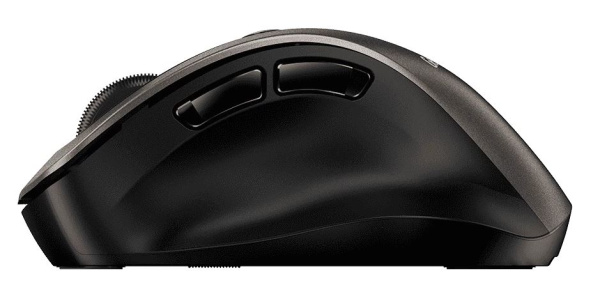 фото Мышь Wireless Genius Ergo 9000S в Челябинске