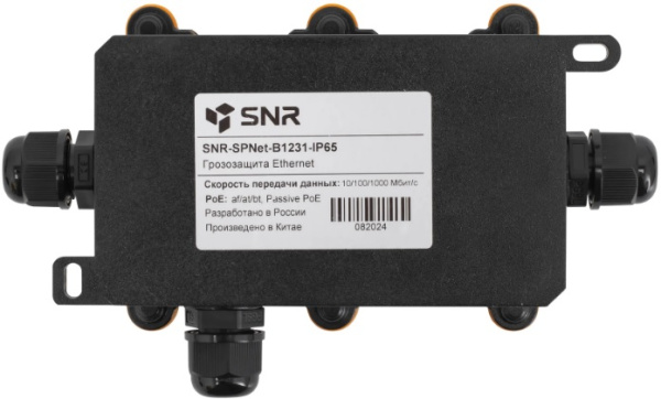 фото Грозозащита  SNR SNR-SPNet-B1231-IP65 в Перми