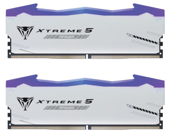фото Модуль памяти DDR5 32GB (2*16GB) Patriot Memory PVXR532G80C38KM в Волгограде