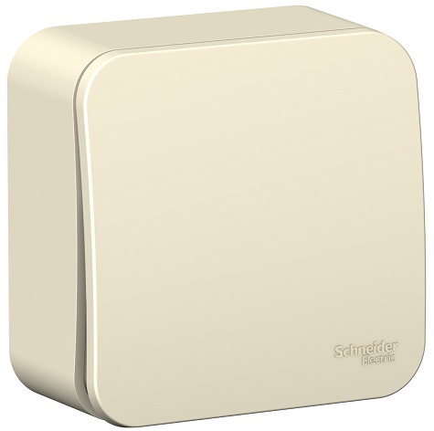 

Выключатель Schneider Electric BLNVA101012 1-клавишный 10А, 250B, изолир. пластина Молочный наруж, BLNVA101012