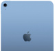 фото Планшет 10.9" Apple iPad (2022) Wi-Fi 256GB в Нижнем Новгороде