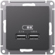 фото Розетка USB  Systeme Electric ATN001433 в Казани