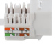 фото Модуль Keystone RJ45 UTP Filum FL-KJ-U6-WT-90 в Перми