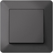 фото Рамка одинарная Systeme Electric ATN221401