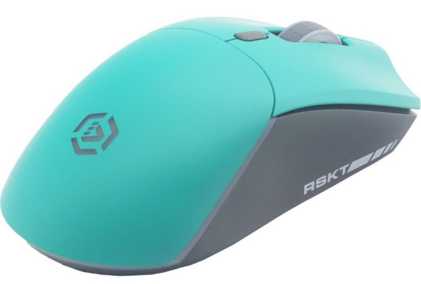 фото Мышь wireless Raskat MG009WR в Казани