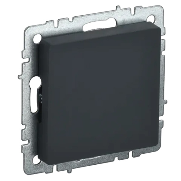 

Заглушка с суппортом IEK BR-PL10-K53 BRITE МЗ10-БрГ Графит, BR-PL10-K53