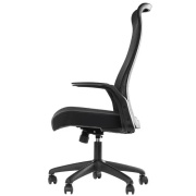 фото Кресло Chairman 573