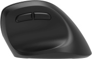 фото Мышь Oklick 688MW ERGO