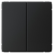 фото Выключатель двухклавишный Systeme Electric GAL001051S
