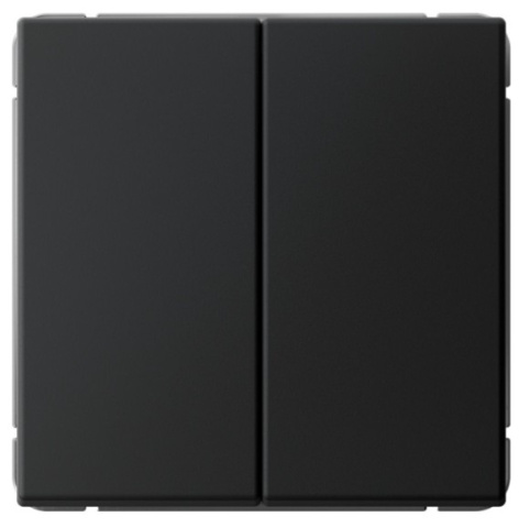 фото Выключатель двухклавишный  Systeme Electric GAL001051S в Красноярске