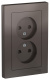 фото Розетка  Systeme Electric ATN000622 в Санкт-Петербургe