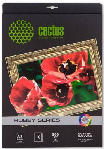 фото Холст  Cactus CS-CA326010 в Уфе