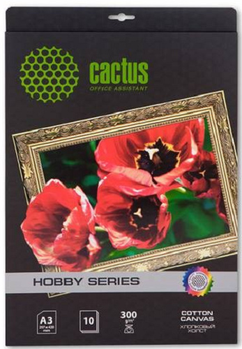 фото Холст  Cactus CS-CA326010 в Самаре