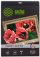 фото Холст  Cactus CS-CA326010 в Уфе