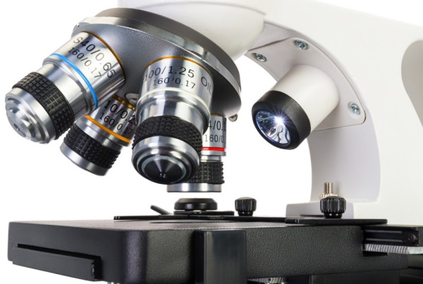фото Микроскоп  Levenhuk Discovery Atto Polar в Санкт-Петербургe