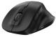 фото Мышь wireless Genius Ergo 8230S в Воронеже