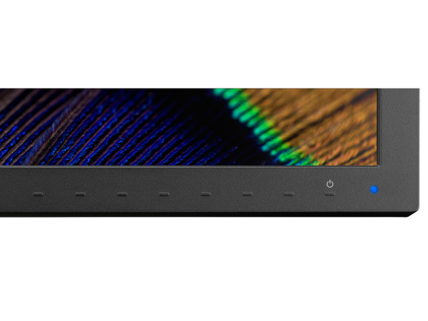 фото Монитор 31,1" NEC PA311D