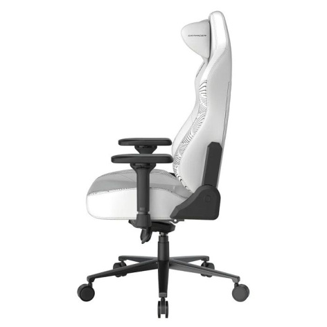 фото Кресло игровое DxRacer CRA/DL5000/THINKER в Уфе