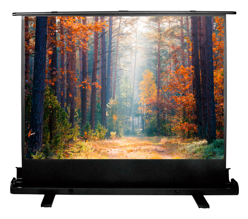 Экран Cactus CS-PSFLE-180X135 FloorExpert, 4:3, напольный рулонный