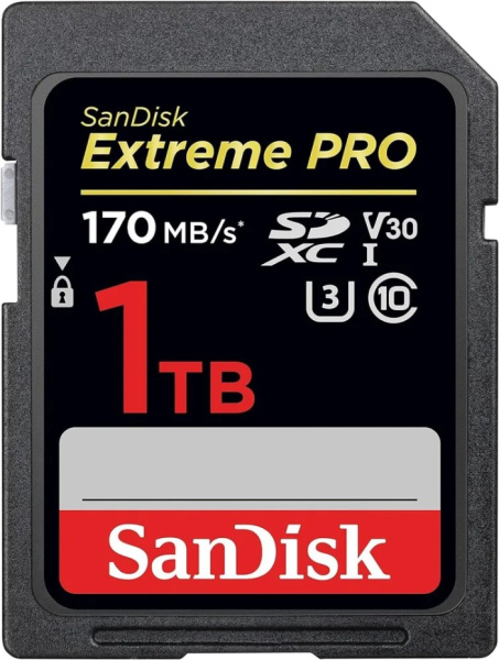 фото Карта памяти SDXC 1TB SanDisk SDSDXXY-1T00-GN4IN в Самаре