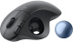 фото Трекбол беспроводной Logitech M575S в Санкт-Петербургe