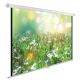 фото Экран  Cactus CS-PSWE-200X200-WT в Санкт-Петербургe