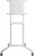 фото Стойка Cactus CS-ST1146WT