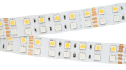 фото Лента светодиодная Arlight RT-B144-19mm 24V RGBW-Warm