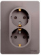 фото Розетка  Systeme Electric GSL001224 в Екатеринбурге