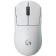фото Мышь Wireless Logitech G PRO X SUPERLIGHT в Перми