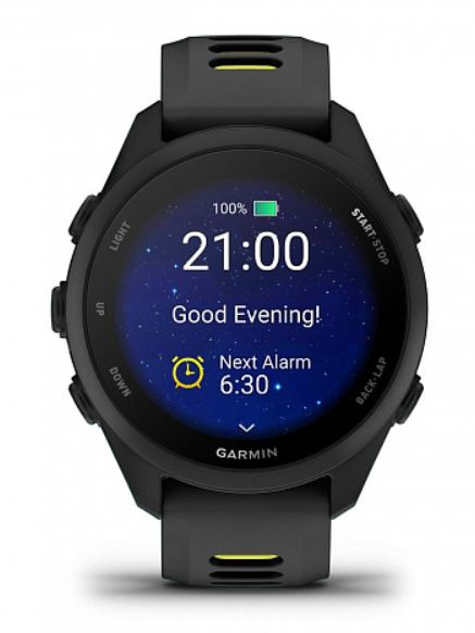 фото Часы  Garmin Forerunner 170