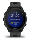 фото Часы  Garmin Forerunner 170