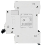 фото Автоматический выключатель Systeme Electric C9F34316